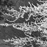 捕鱼大作战电脑版:畅享海底世界的刺激与乐趣 gnpnbf4rm