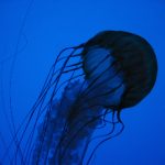 幸运彩票app下载:让你轻松体验购彩乐趣与中奖机会 y7dfpn3bm